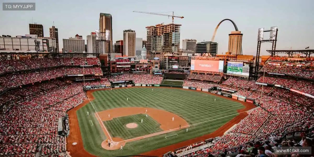 📺 实时解说，带你沉浸式感受赛场心跳！